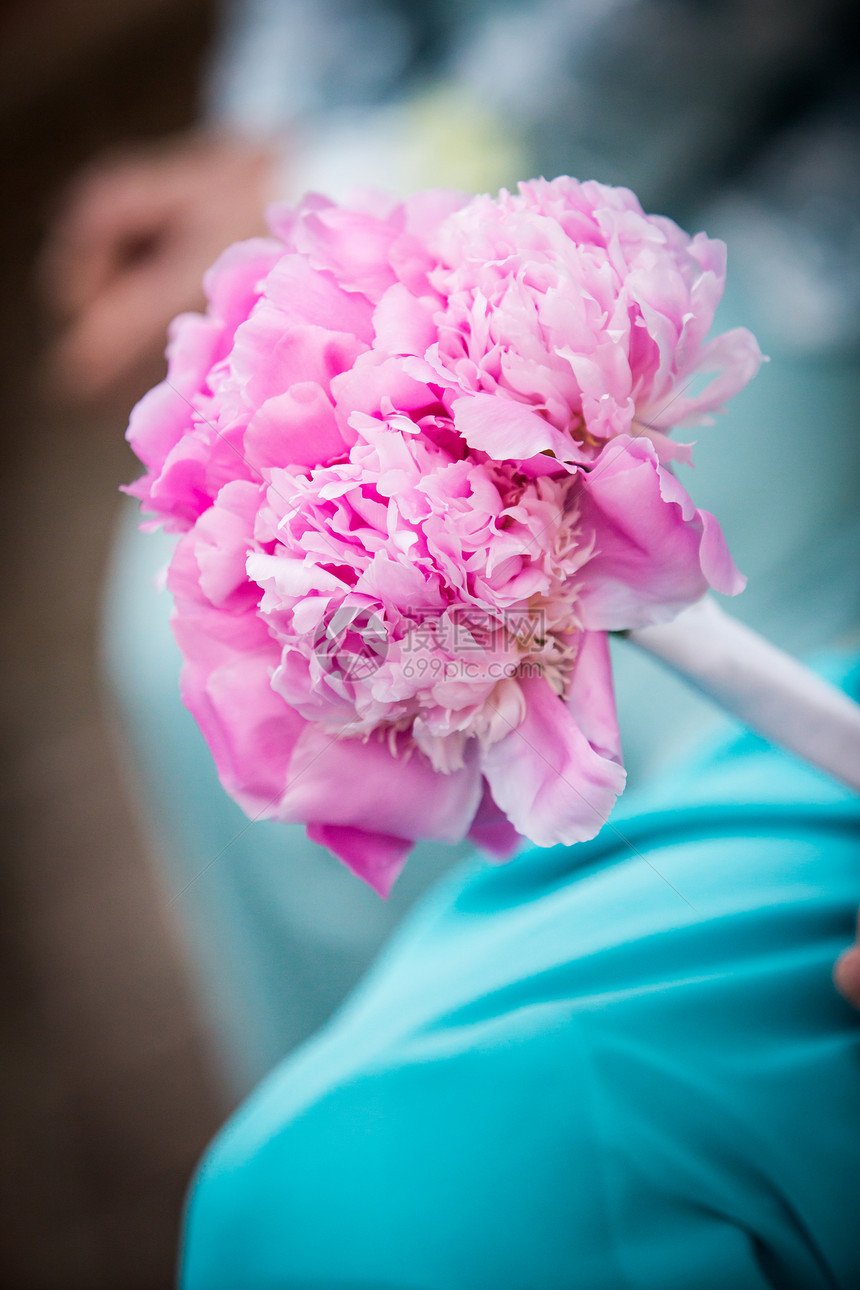 美丽的粉红布花 由伴娘持有传统新娘已婚订婚仪式插花花束女性蓝色粉色图片