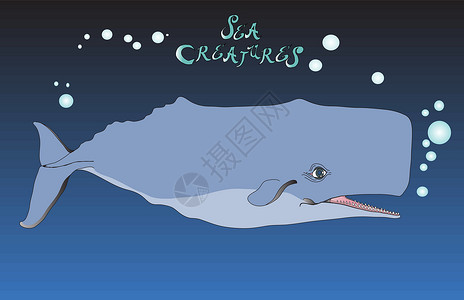 抹香鲸体积3的海洋生物 卷3 香鲸矢量插画