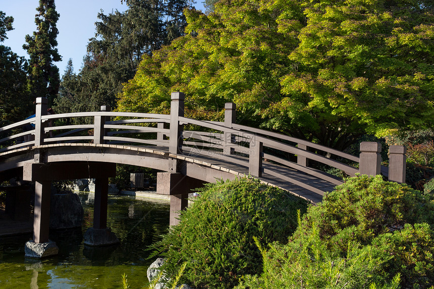 日本足桥 彩色横过池塘图片