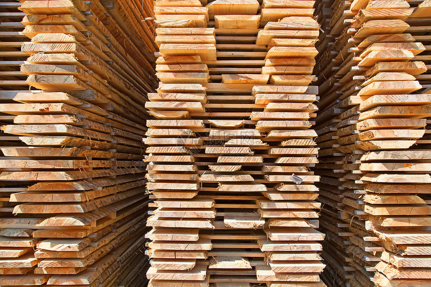 新的木制鲜木板贮存木匠地面木头墙纸控制板装饰材料林业纤维图片