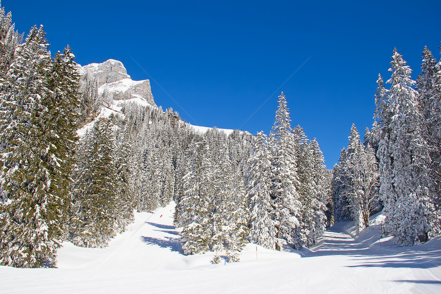冰山中的冬天奢华蓝色寒意天堂天空阴影晴天滑雪雪橇顶峰图片