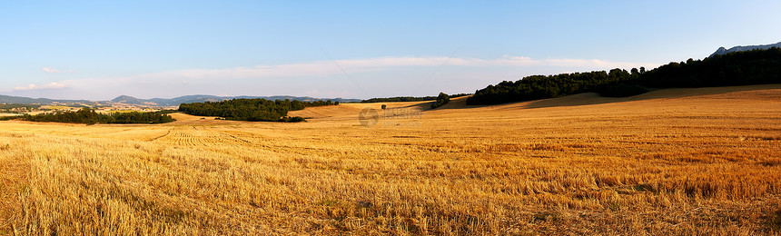 收获后田地场地农村草地牧场小麦天空环境全景土地天气图片