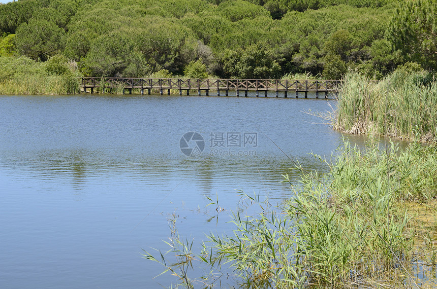 高尔夫球场的大湖图片