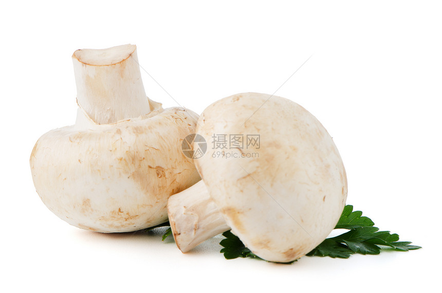 香格里翁蘑菇和树叶叶子保健美食蔬菜卫生节食小吃香菜宏观图片