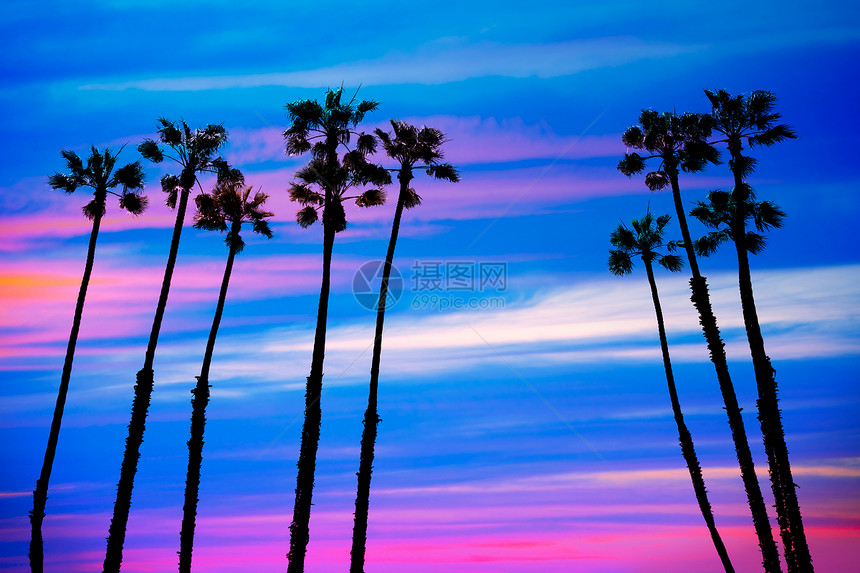 加州棕榈树日落 天空多彩橙子树干蓝色海洋天堂海滩太阳海岸旅行异国图片