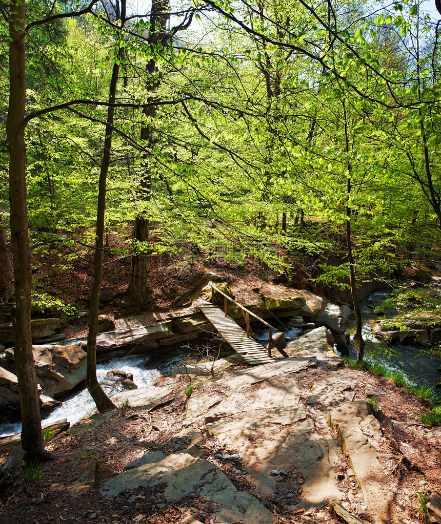 森林河带桥溪流木头树木流动公园小路瀑布旅行植物阳光图片
