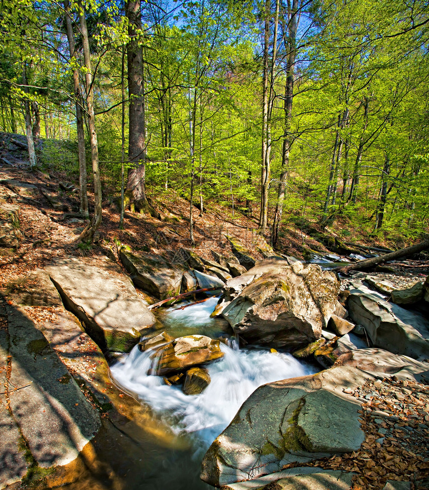 森林山山河叶子溪流照片远足阳光树叶小路流动树木岩石图片