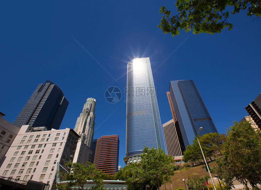 在山街的洛杉矶市中心市中心高楼地标树木爬坡办公室城市商业植物街道图片