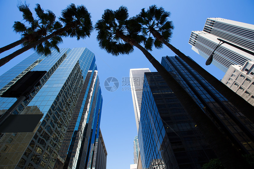 洛杉矶市中心有棕榈树图片