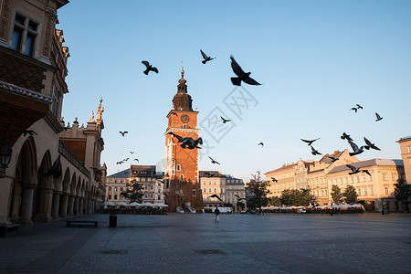 早晨的克拉科夫鸽子布馆旅游教会地标街道教堂纪念碑景观国家正方形背景图片