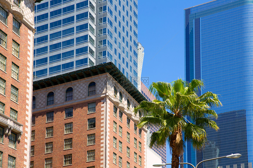 LA 洛杉矶市中心Pershing广场棕榈树城市天际建筑学摩天大楼棕榈建筑物天空正方形高楼蓝色图片