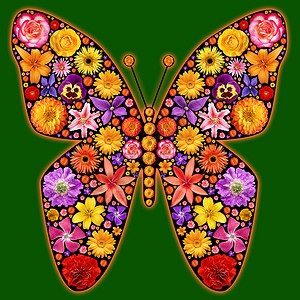 花蝴蝶剪影曲线绿色翅膀粉色黄色植物乐趣艺术红色绘画背景图片