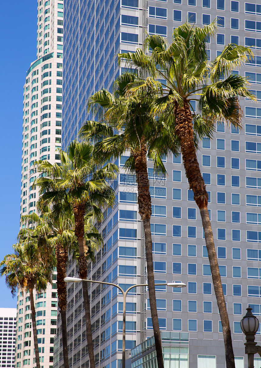 LA 洛杉矶市中心Pershing广场棕榈树建筑学旅行景观市中心天空蓝色摩天大楼棕榈办公室商业图片