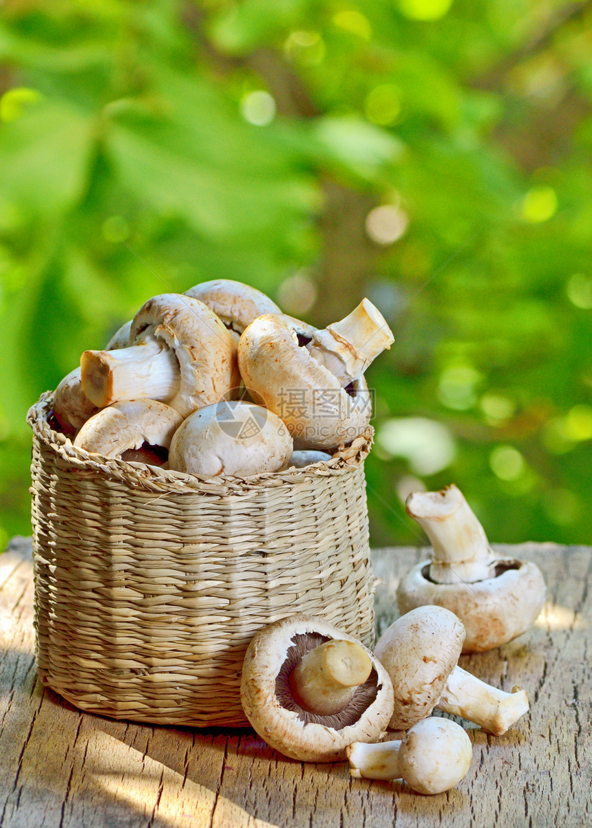 草篮中的蘑菇美食工作室木头季节篮子植物健康营养饮食宏观图片