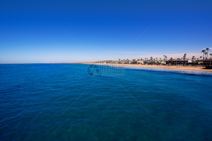 加利福尼亚州新港海滩 有棕榈树棕榈旅行海景太阳支撑冲浪运动假期海滩波浪图片