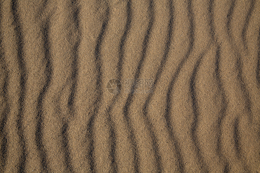加利福尼亚的沙滩沙丘质图片