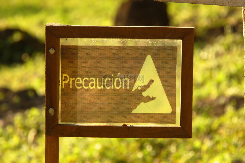 危险鳄鱼标志警告丛林野生动物措施风险预防动物荒野爬虫黄色图片