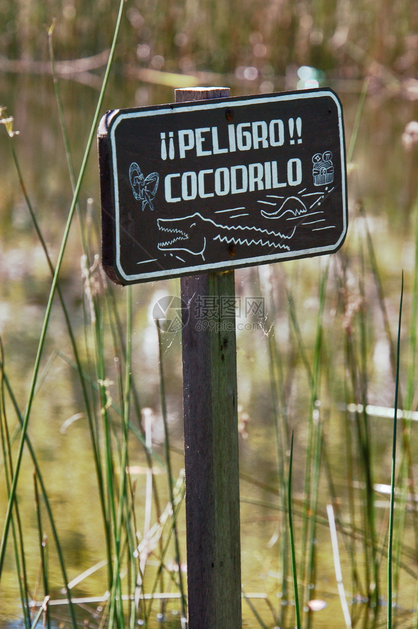 危险鳄鱼标志丛林荒野爬虫黄色野生动物风险警告动物图片