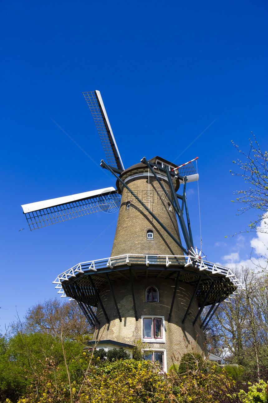 Alkmaar的风车天空蓝色旅游活力技术旋转力量农场绿色环境图片
