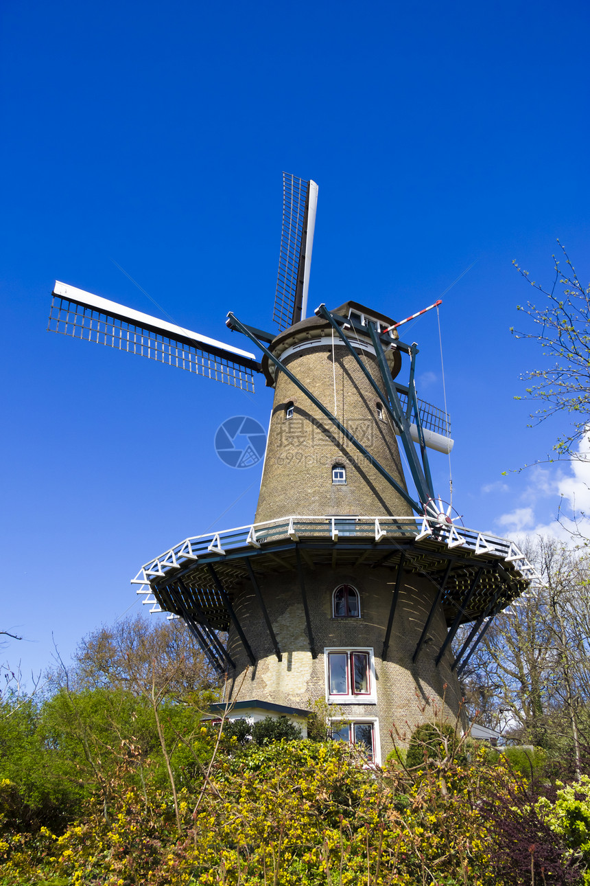 Alkmaar的风车绿色建筑学力量农场蓝色旋转旅游技术环境刀刃图片