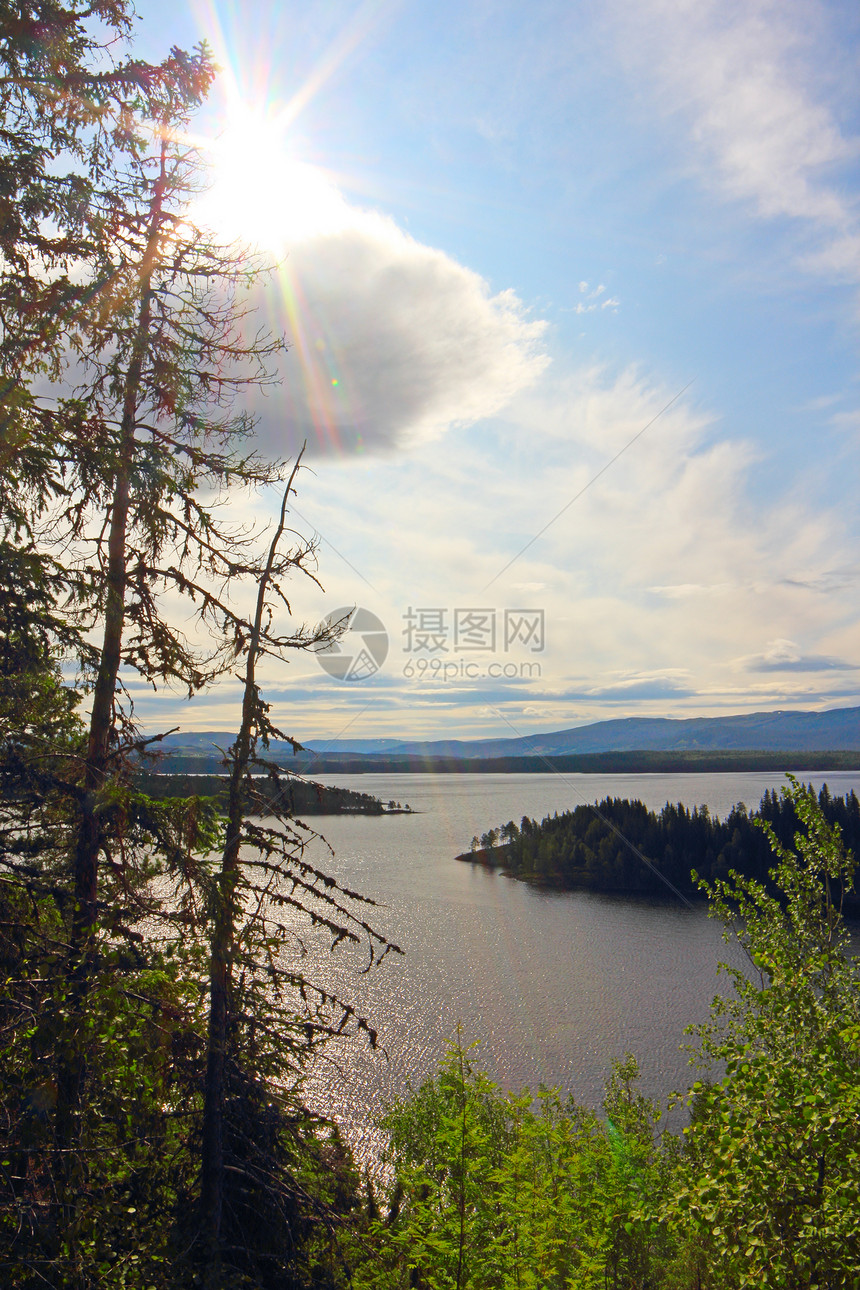 森林的 fjord 视图旅游石头太阳旅行渠道峡湾岩石全景假期松树图片