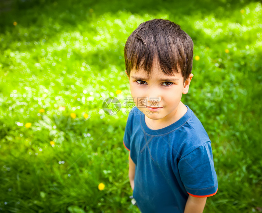 可爱男孩站在草地上图片