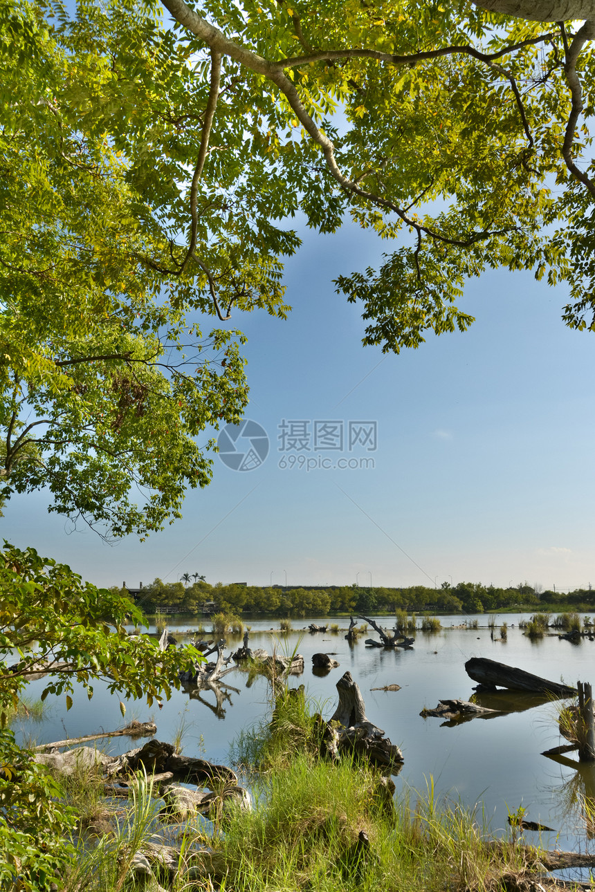 湖湖景观文化花园林业森林假期旅游山脉日志风景天堂图片