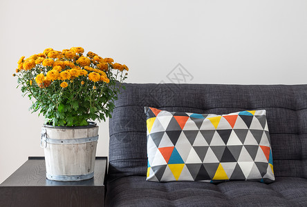 草编蒲团坐垫沙发上的橘子菊花和光亮的坐垫背景