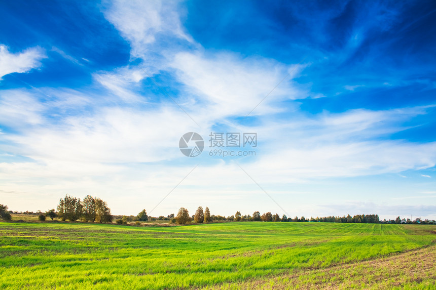 绿地和蓝天空季节天空草原蓝色地平线牧场晴天农场远景草地图片