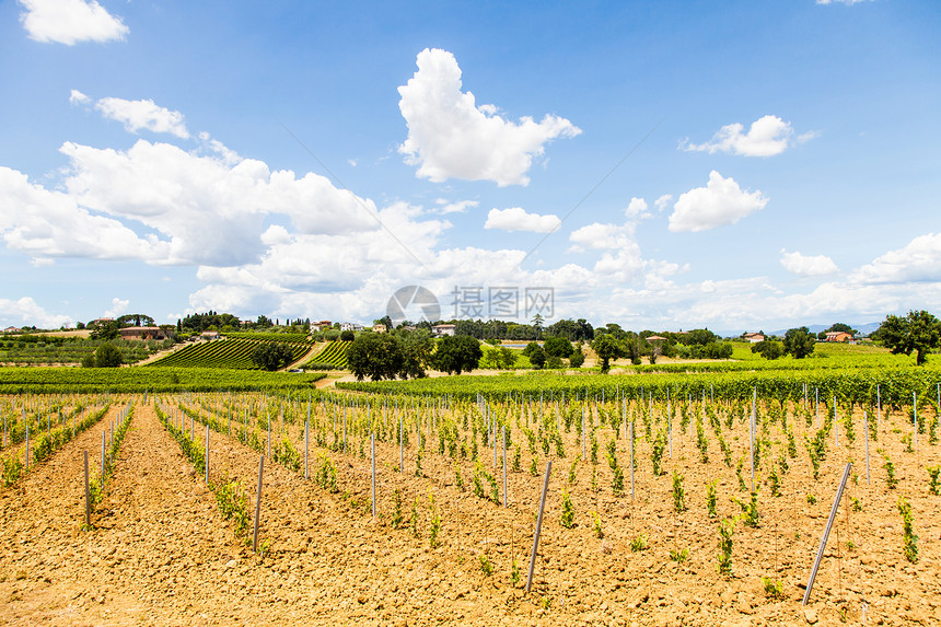 托斯卡纳酒庄园地平线天空植物乡村水果土地农业农村酒厂村庄图片