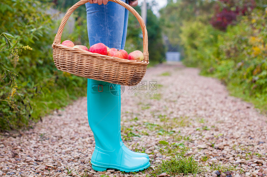 握着篮子的手贴紧 对年轻女孩用黄色 红苹果和橡皮靴套在篮子上叶子住宅橡皮女士食物蔬菜私人靴子院子收成图片