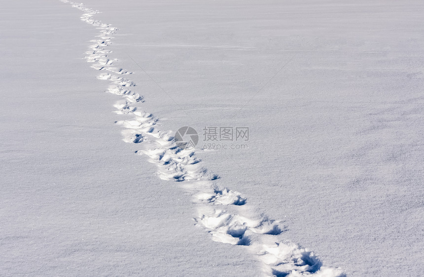 雪上脚步探险家白色探索风景脚印漫游农村脚步声途径日光图片