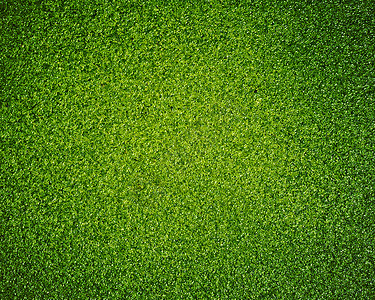 绿叶背景的纹理绿色植物宏观自然宏背景图片