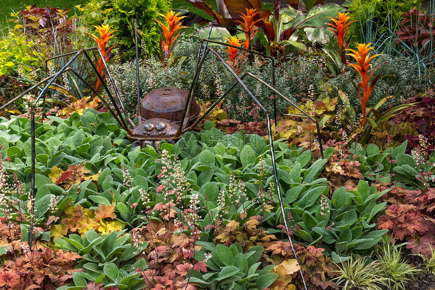 装饰花园的锈金属蜘蛛图片