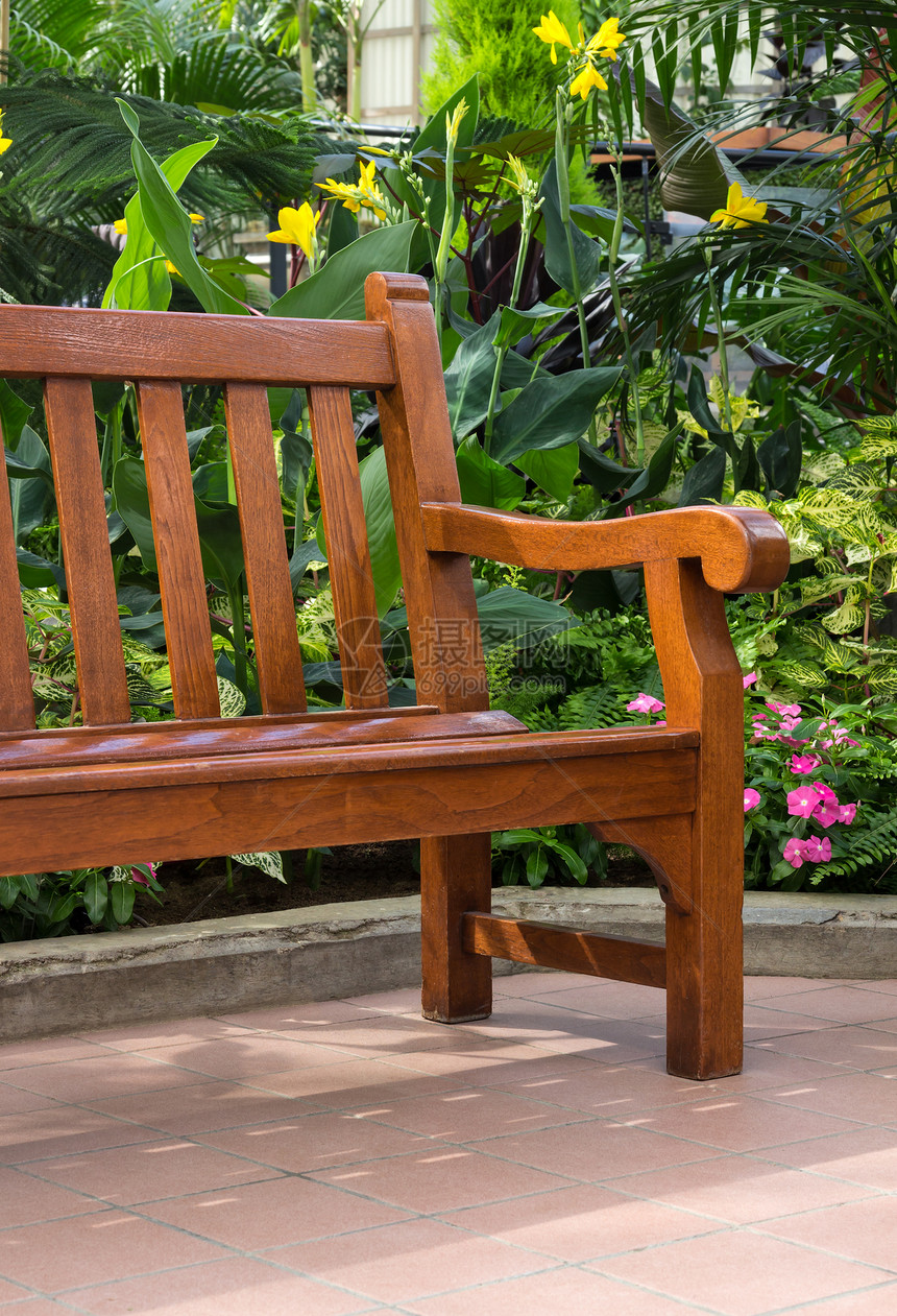 热带花园的木板凳图片
