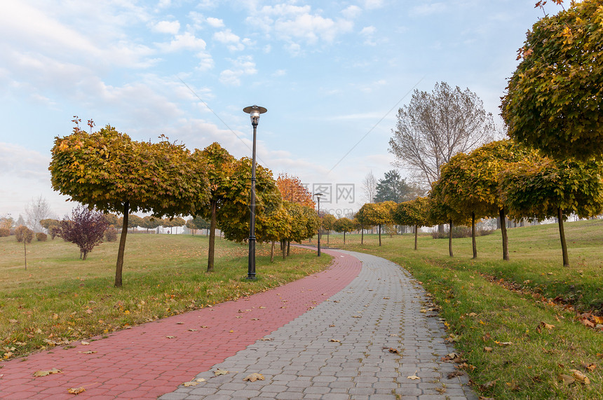 秋天在公园的小巷里图片