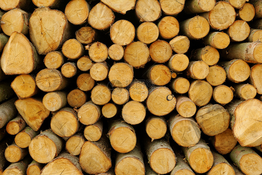 木柴堆柴堆林业壁炉日志环境活力贮存燃料纹理木材图片