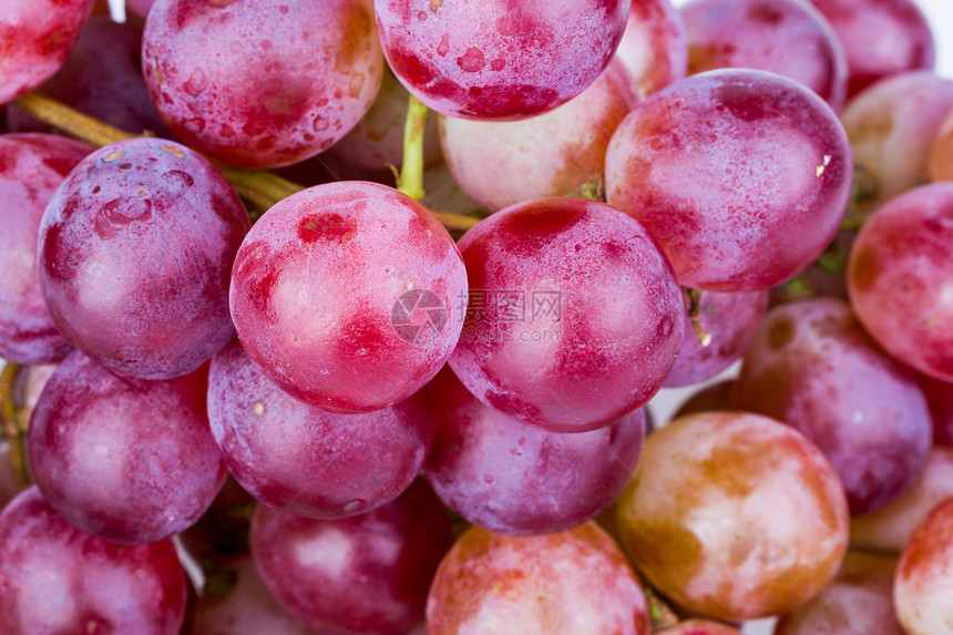 白底的红葡萄团团白色果汁红色生长绿色团体叶子食物水果藤蔓图片