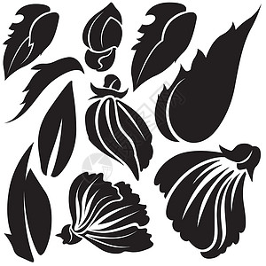 鲜花元素创造力植物插图黑色剪影植物学风格装饰花朵叶子背景图片