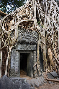塔普伦寺  吴哥窟  柬埔寨建筑学高棉语废墟寺庙生长旅行地标背景