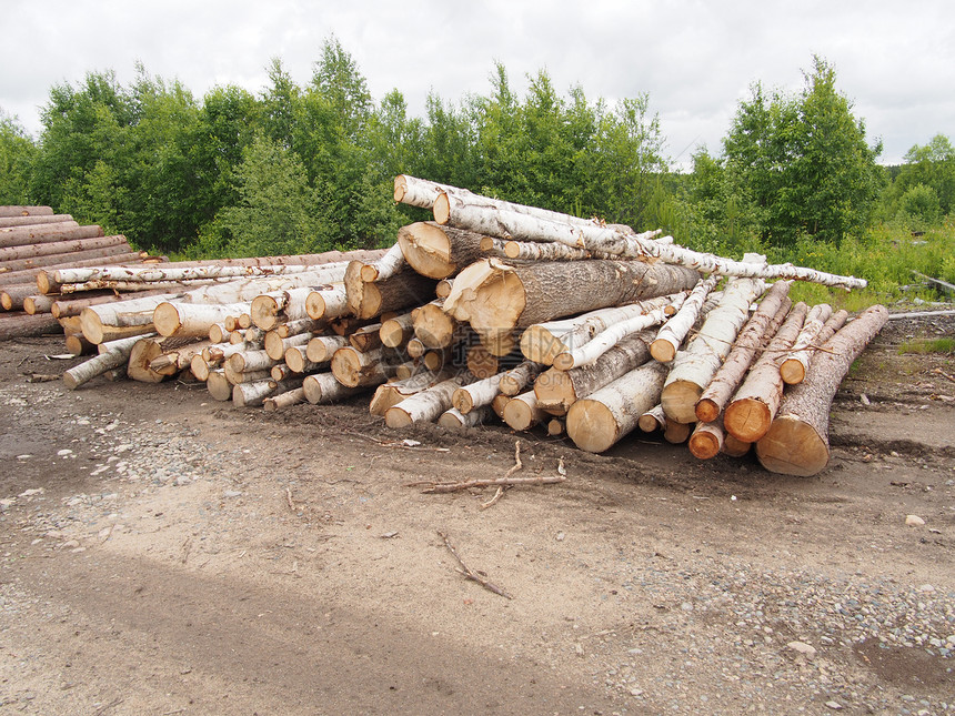 路上的木头林地环境卡车日志贮存林业资源针叶柴堆营林图片