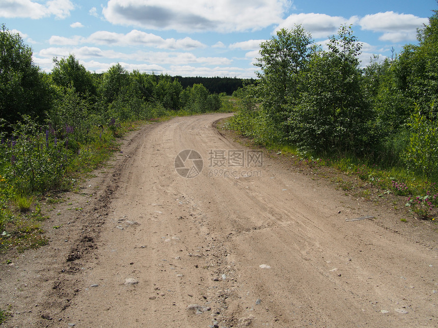 森林道路孤独活力生态植物土地树木场地季节农业耕作图片