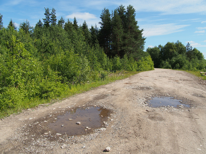 森林道路耕地土地植物农村耕作农业林道场景全景环境图片