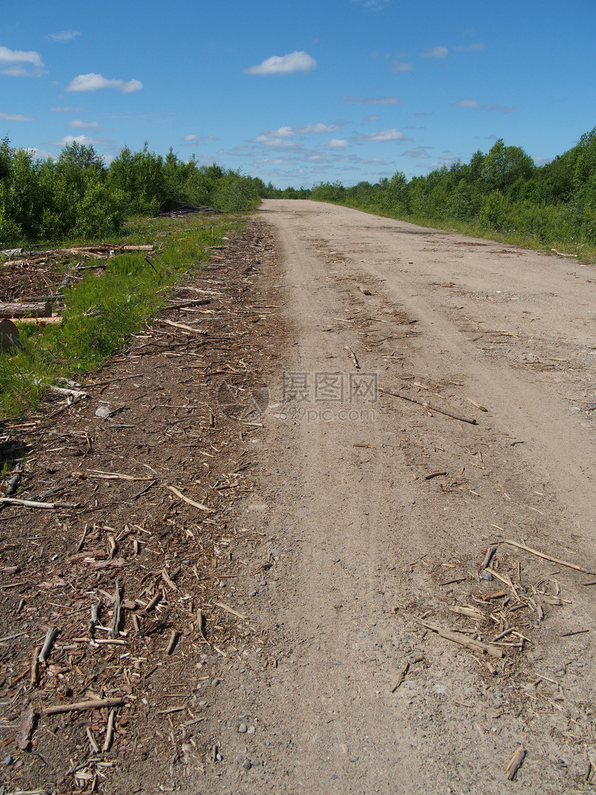 森林道路树木活力孤独季节耕作小路牧场草地天空场地图片