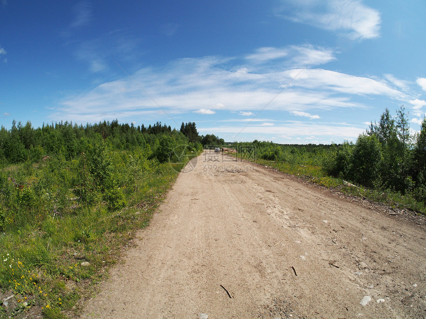 森林道路林道树木耕地环境小路乡村草地场地农村图片