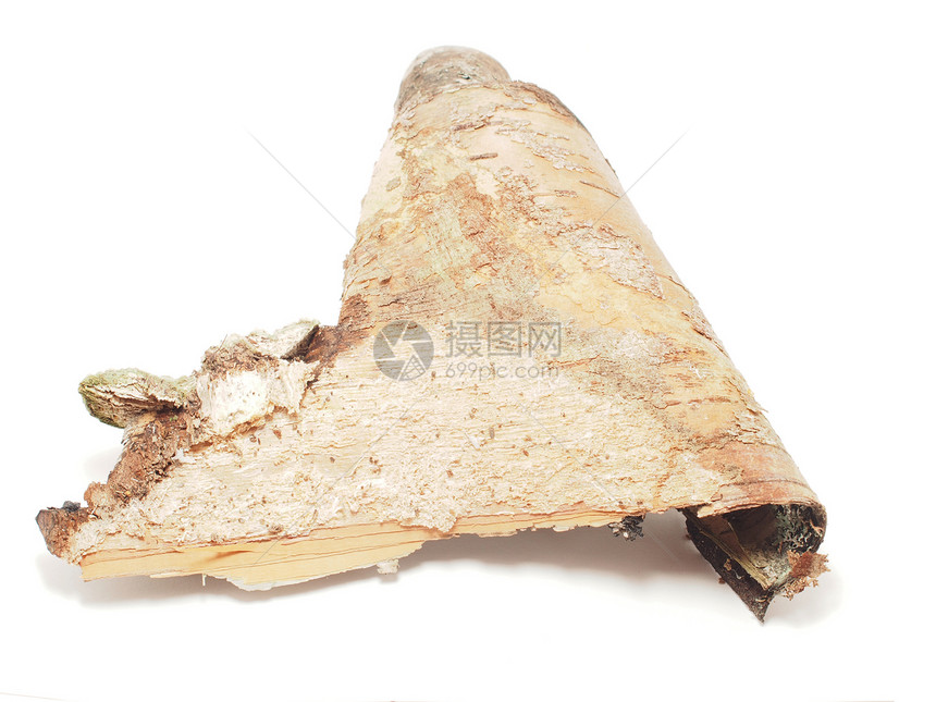 白色背景的一小块树皮棕色戒指日志说谎植物树桩材料硬木木材木头图片