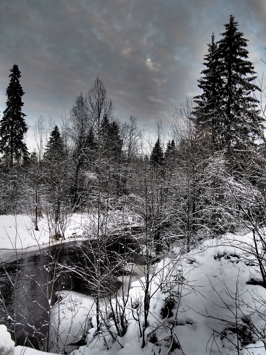 冬季河水河岸田园风光森林国家荒野倒影背景林地景观图片