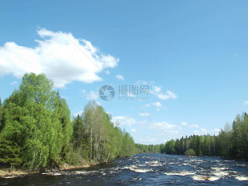 河岸沿岸绿色木头植物野生动物海岸天空蓝色天气季节荒野图片