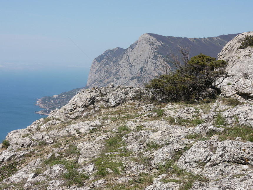 树木 天空和岩石旅行针叶游客地平线天气美丽植物悬崖石头蓝色图片