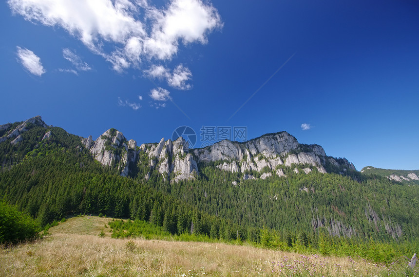 夏季山景图片